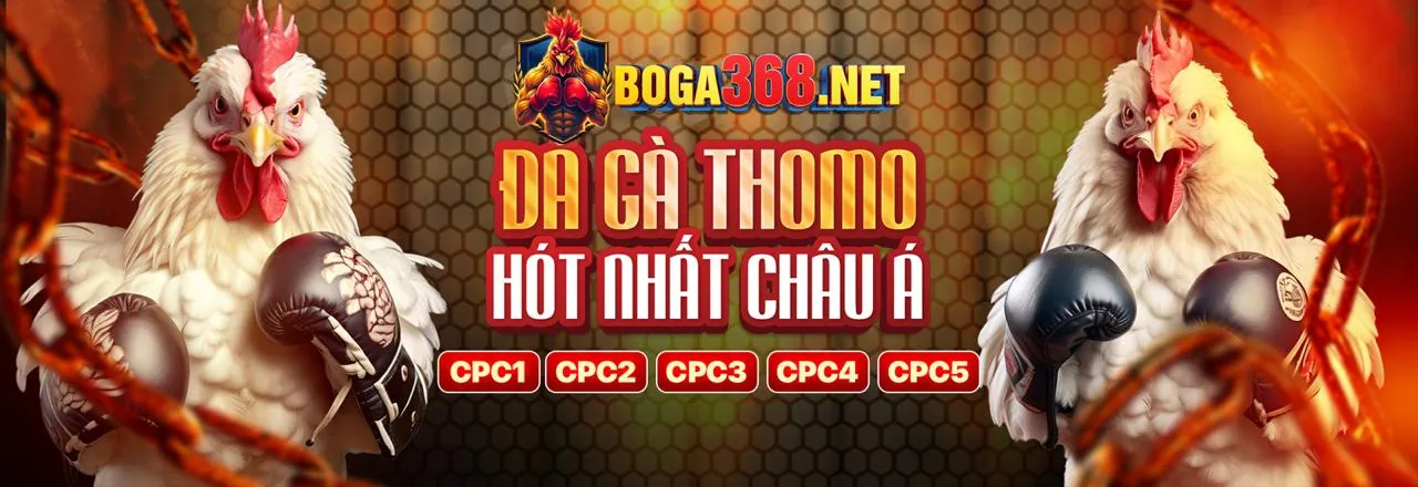 Đá Gà Trực Tuyến GOD88